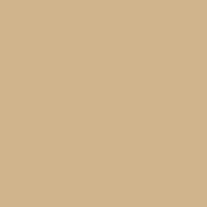 1001 Beige