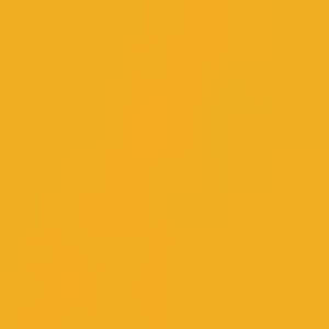 1003 Signal Yellow
