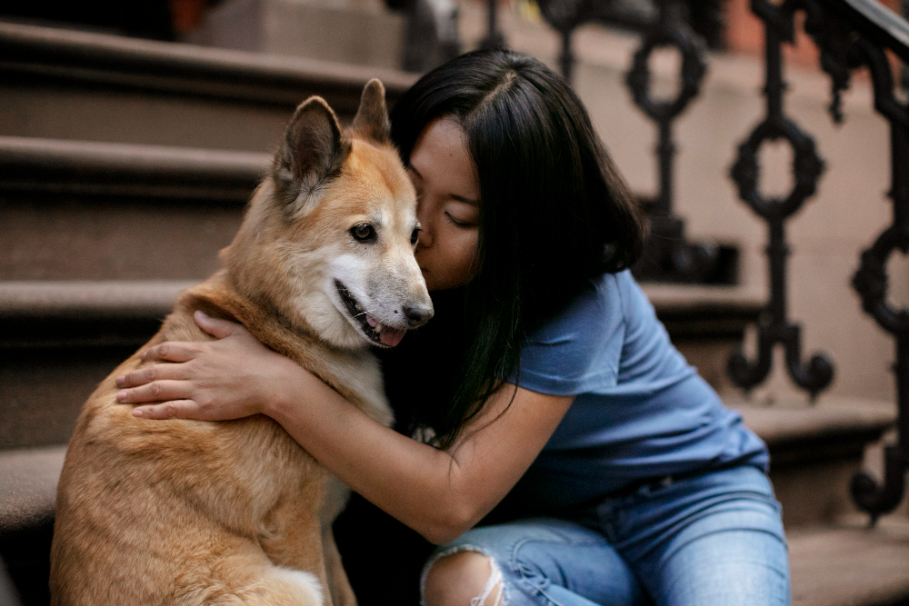 How Dogs Help With Mental Health