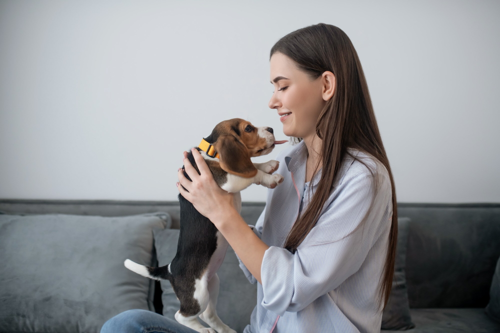 dogs for stress relief