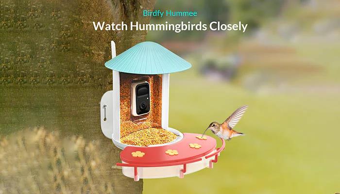 HD Bird Feeder Camera: Perfect for Stunning Bird Photos