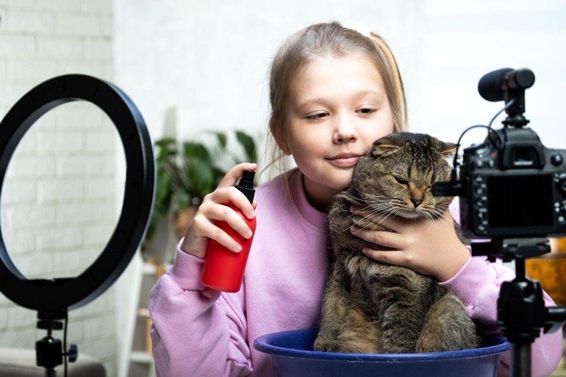 Cats Leading the Pet Influencer Trend Online