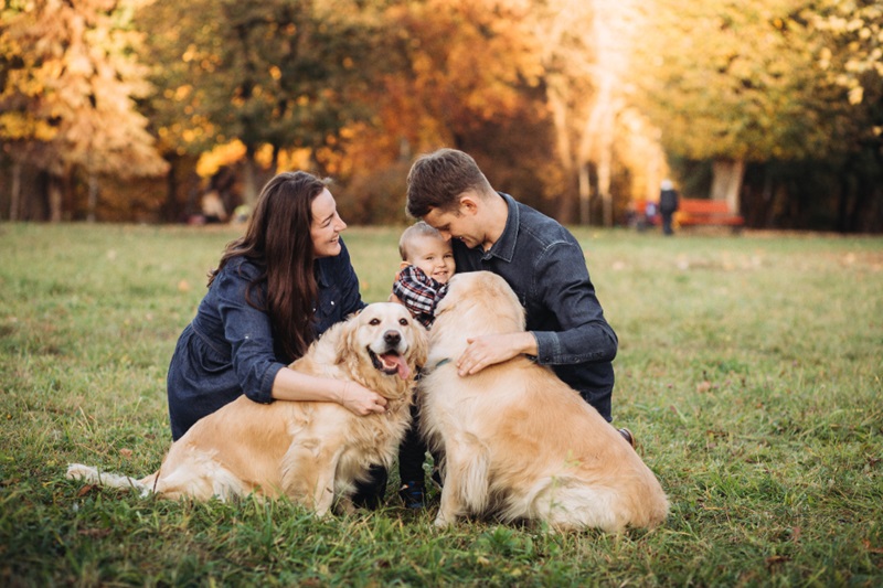 Furry Friends 101 Choosing the Best Dog for Your Home