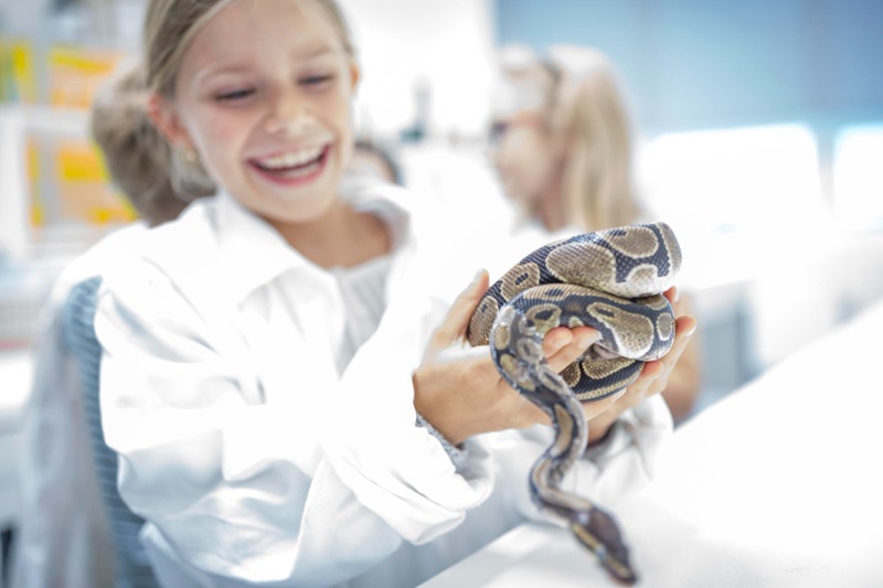 How Can You Create the Perfect Habitat for Your Pet Snake?