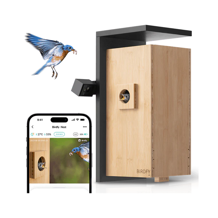 How to Create a Bird-Friendly Backyard with Smart Bird Houses