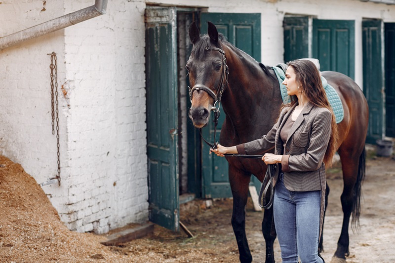 Health Issues in Horses and How to Prevent Them