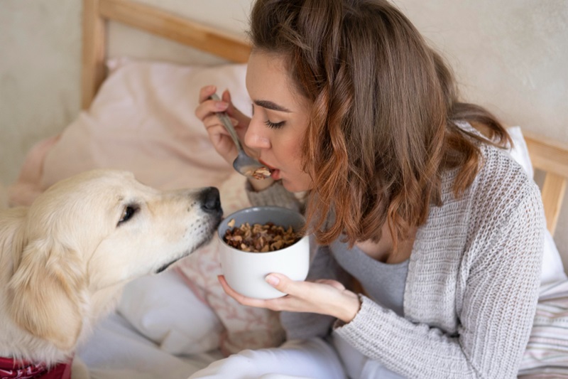 Balanced Homemade Pet Food for Your Furry Friend