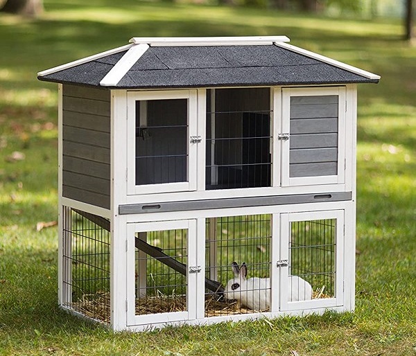 Benefits of Investing in a Premium Rabbit Hutch