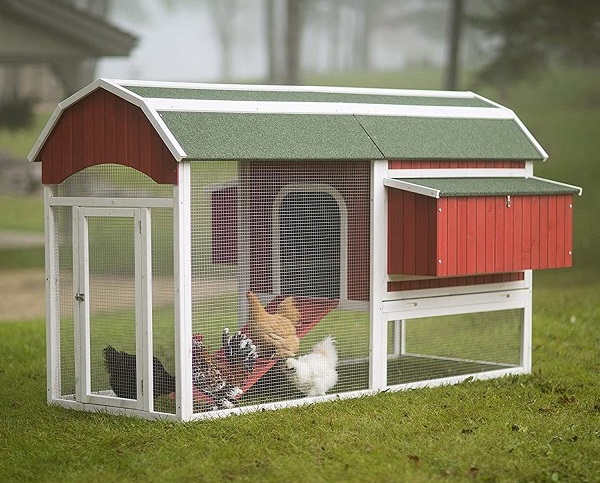 Best Backyard Chicken Coop