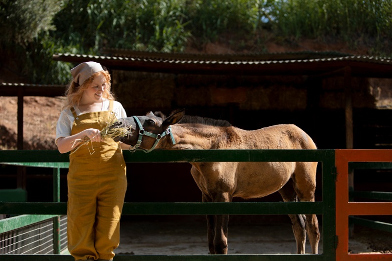 Care Tips for Keeping Healthy Farm Pets