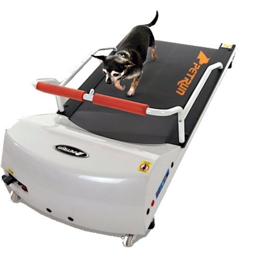 Dog Treadmills