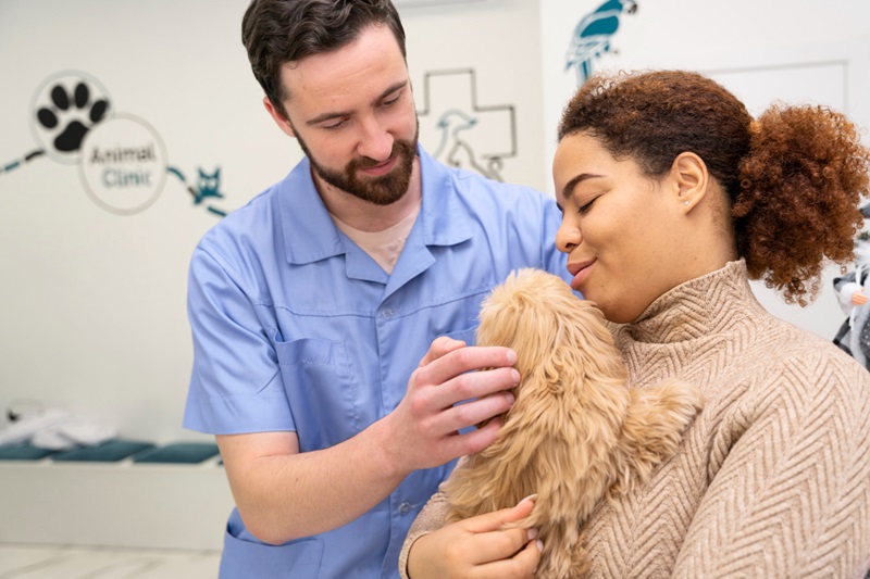 Ear and Dental Care in Pet Grooming