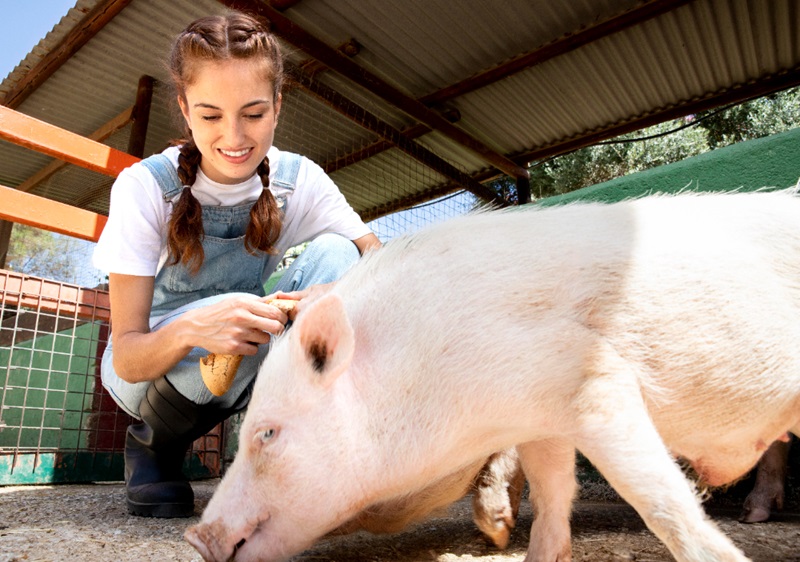 Essential Care Tips for Healthy Farm Pets