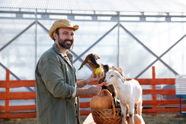 Farm Pets