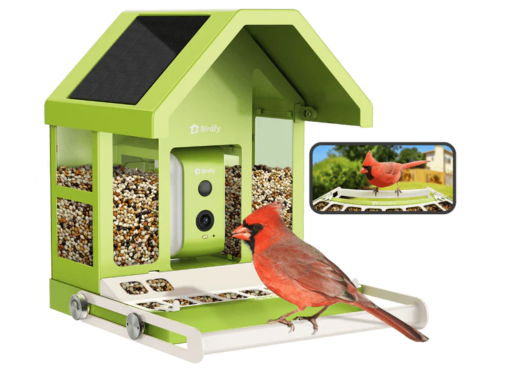 How to Choose the Right Metal Bird Feeder for Your Backyard