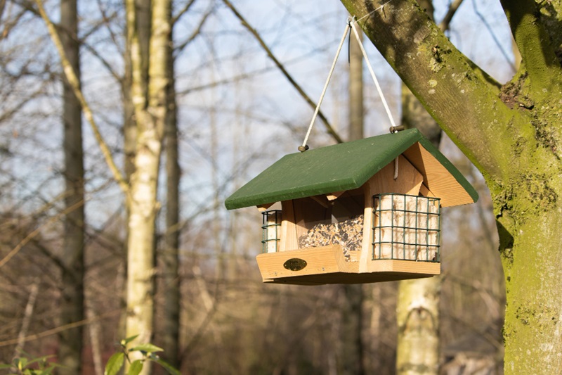 Right Metal Bird Feeder for Your Backyard