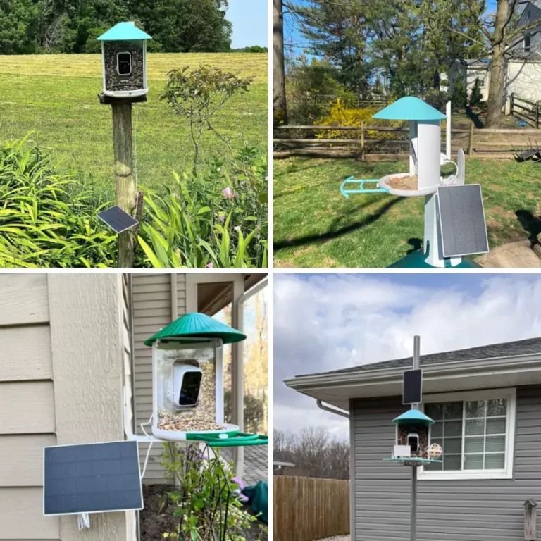 Smart Bird Feeders with Solar Panel