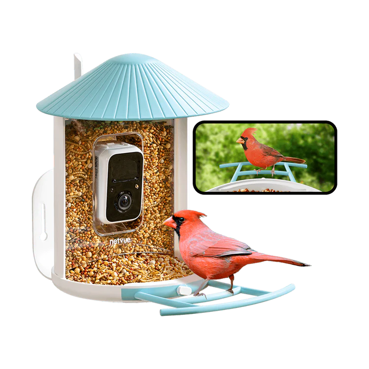 What Features Make Smart Bird Feeders an Ideal Gift Option?