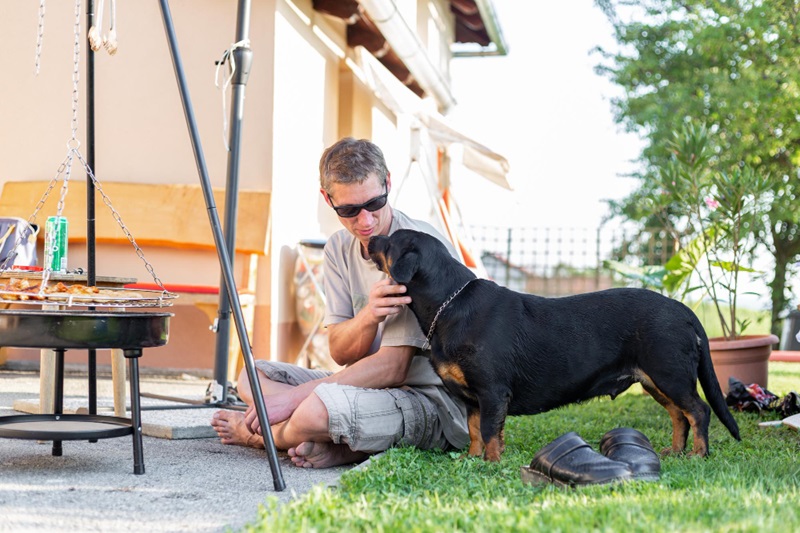 The Do's and Don'ts of Socializing a Rottweiler