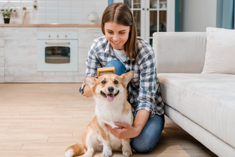 Which Dog Breeds Are Perfect for Small Apartment Living