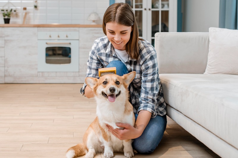 Which Dog Breeds Are Perfect for Small Apartment Living?